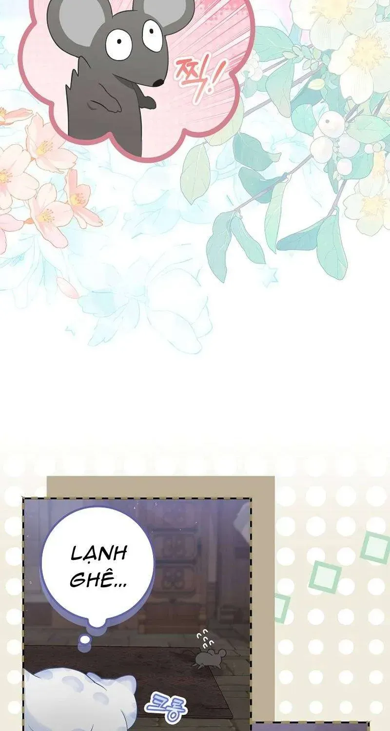  Ss2  Bé Con Báo Tuyết Của Gia Tộc Báo Đen Chap 2 - Next Chap 3