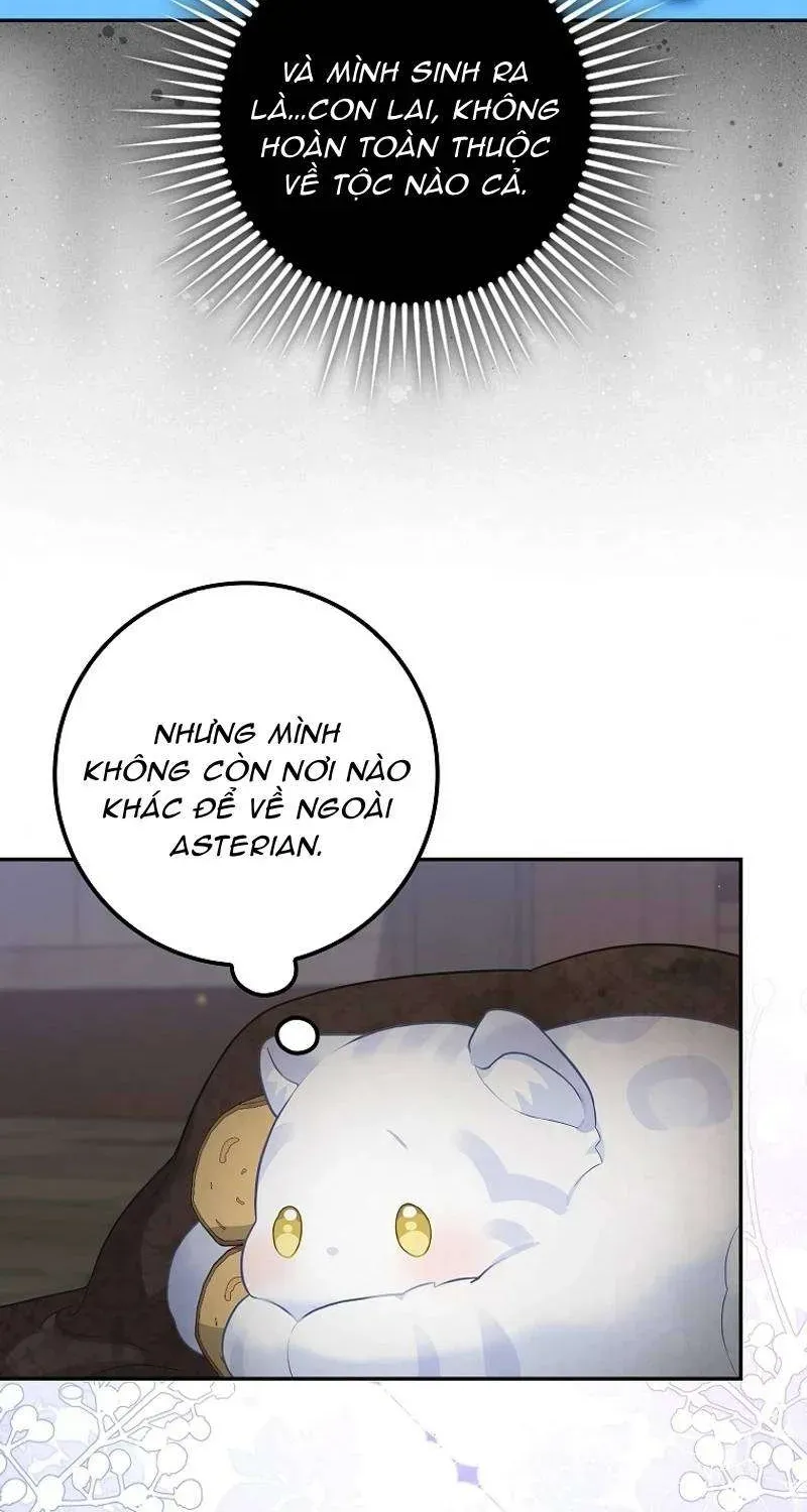  Ss2  Bé Con Báo Tuyết Của Gia Tộc Báo Đen Chap 2 - Next Chap 3