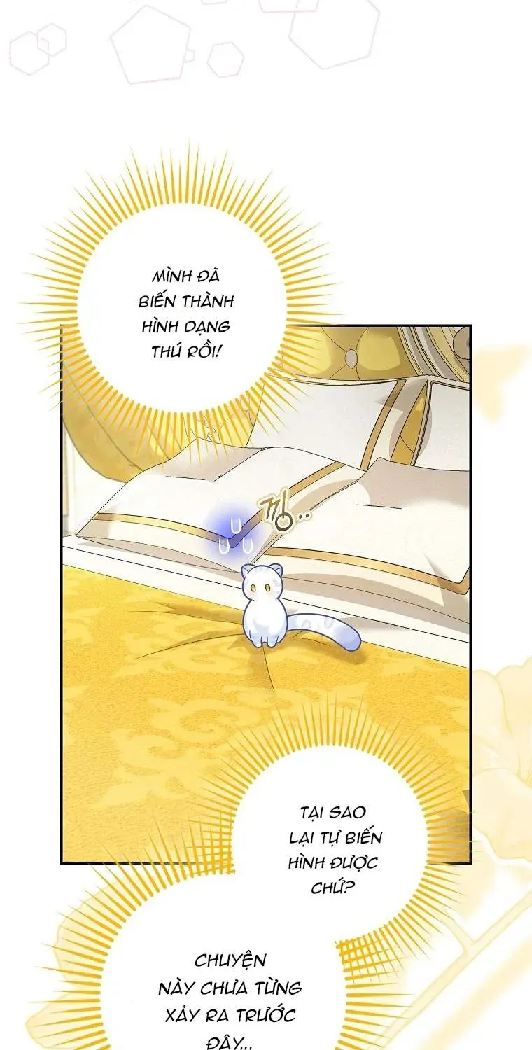  Ss2  Bé Con Báo Tuyết Của Gia Tộc Báo Đen - Chương 21 - Trang 28