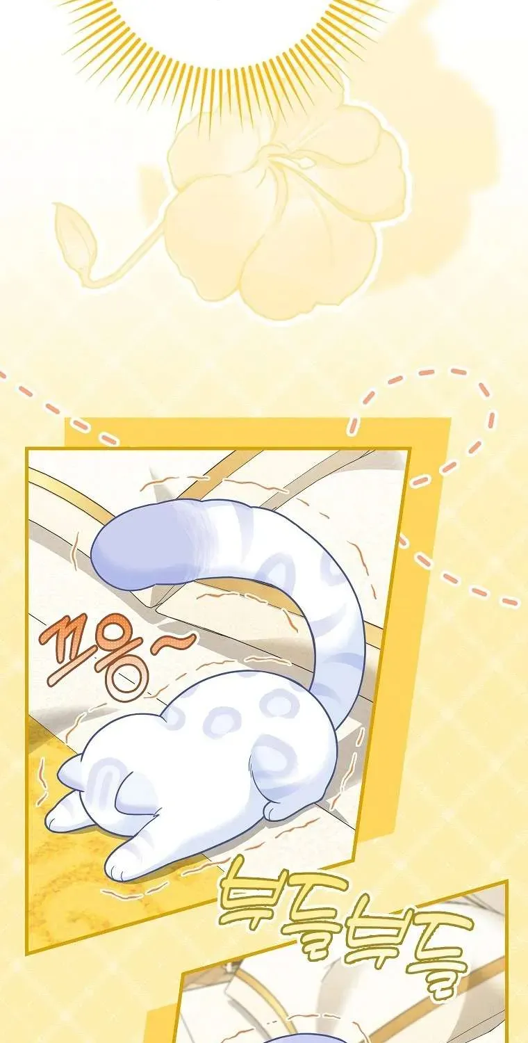  Ss2  Bé Con Báo Tuyết Của Gia Tộc Báo Đen - Chương 21 - Trang 29