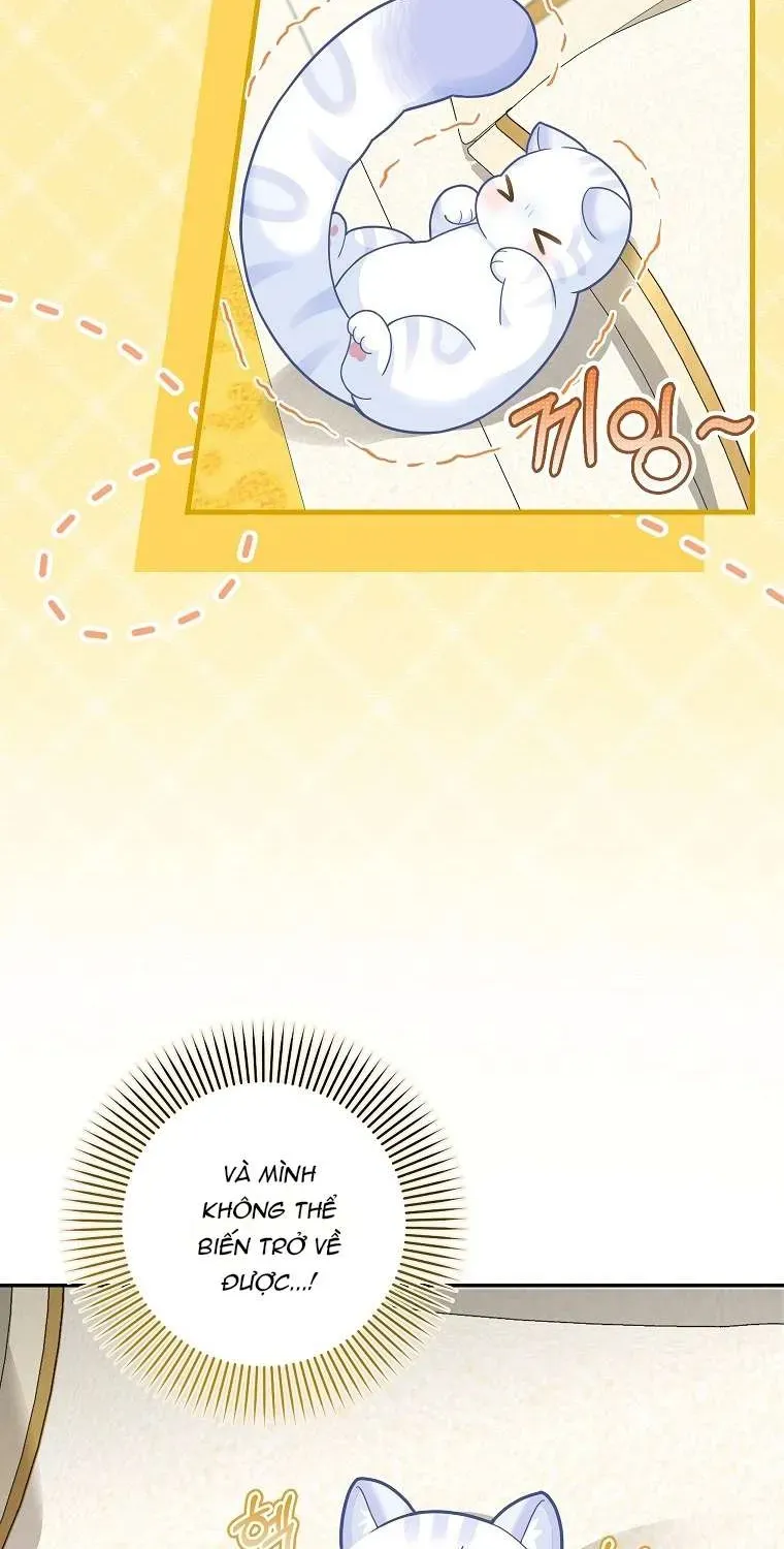  Ss2  Bé Con Báo Tuyết Của Gia Tộc Báo Đen - Chương 21 - Trang 30