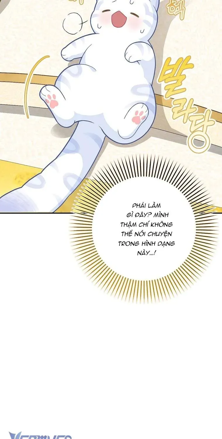  Ss2  Bé Con Báo Tuyết Của Gia Tộc Báo Đen - Chương 21 - Trang 31