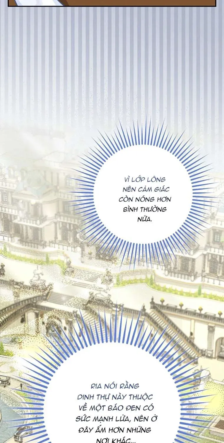  Ss2  Bé Con Báo Tuyết Của Gia Tộc Báo Đen - Chương 21 - Trang 55