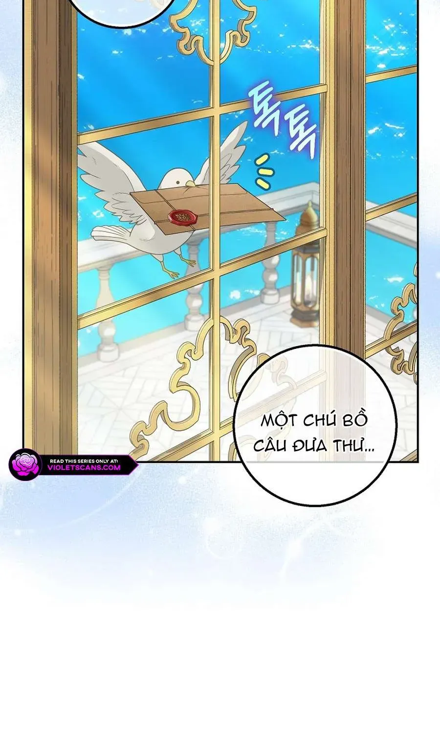  Ss2  Bé Con Báo Tuyết Của Gia Tộc Báo Đen - Chương 24 - Trang 26