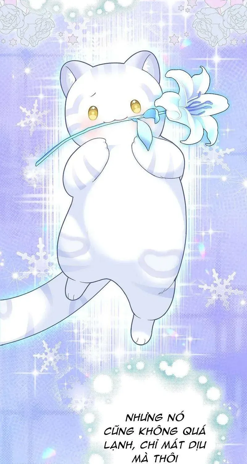  Ss2  Bé Con Báo Tuyết Của Gia Tộc Báo Đen Chap 27 - Page 48