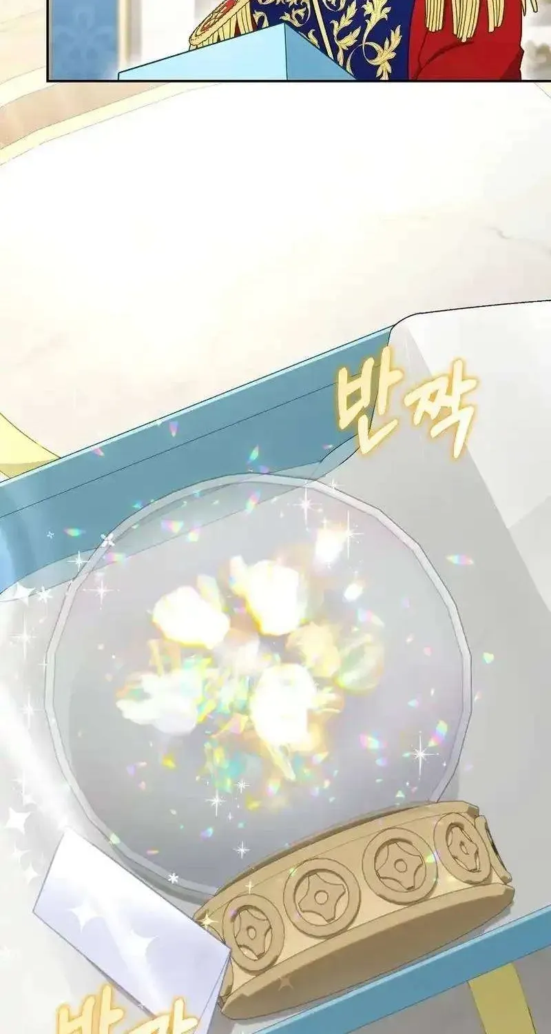  Ss2  Bé Con Báo Tuyết Của Gia Tộc Báo Đen - Chương 28 - Trang 17