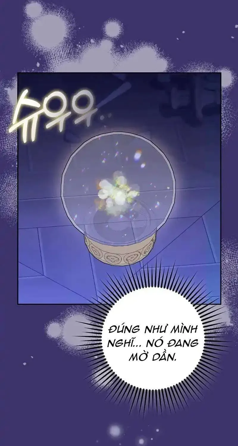  Ss2  Bé Con Báo Tuyết Của Gia Tộc Báo Đen - Chương 28 - Trang 33