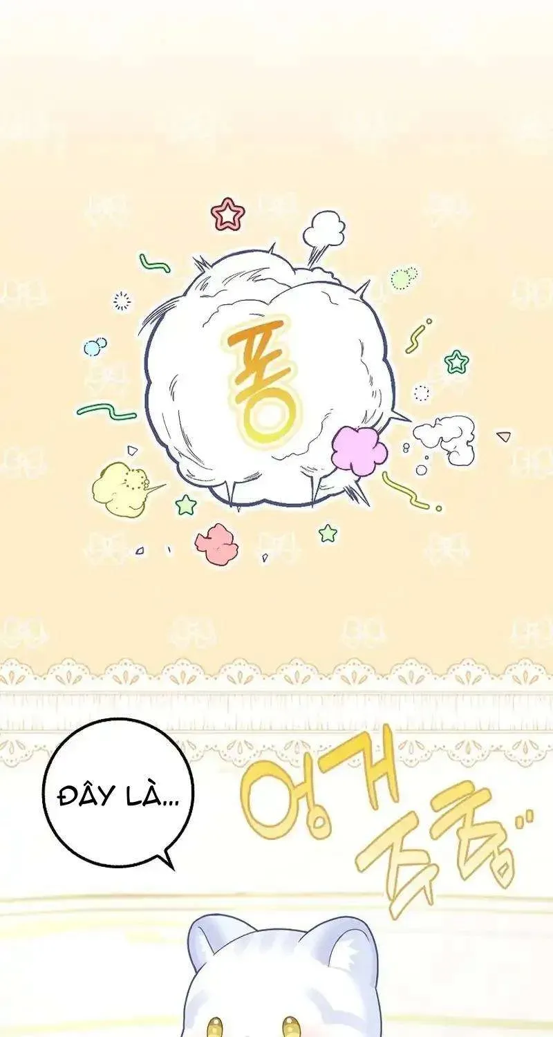  Ss2  Bé Con Báo Tuyết Của Gia Tộc Báo Đen - Chương 28 - Trang 74