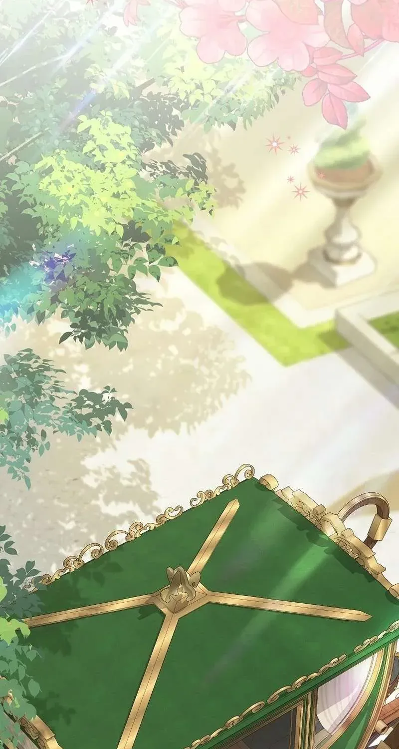  Ss2  Bé Con Báo Tuyết Của Gia Tộc Báo Đen - Chương 29 - Trang 76