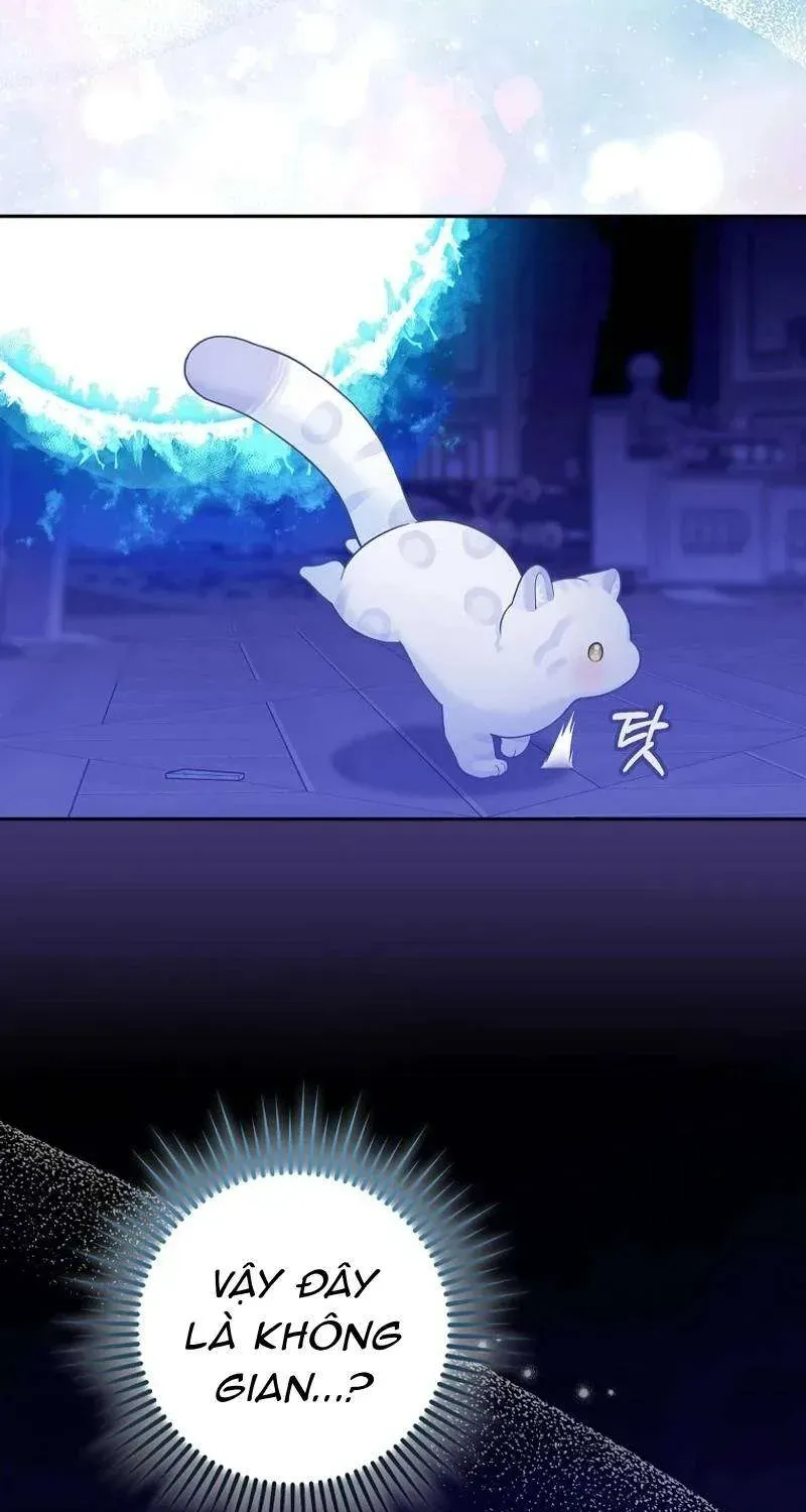  Ss2  Bé Con Báo Tuyết Của Gia Tộc Báo Đen Chap 3 - Next Chap 4