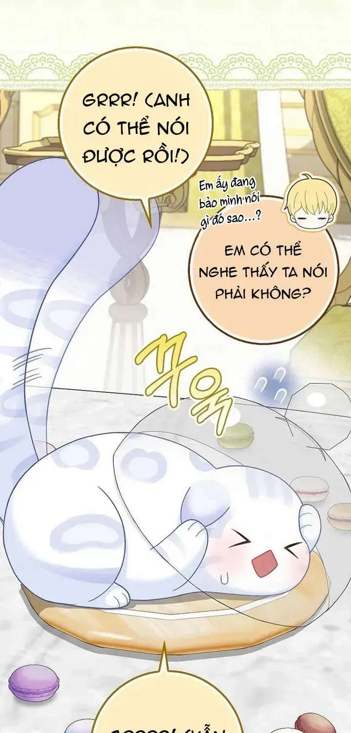  Ss2  Bé Con Báo Tuyết Của Gia Tộc Báo Đen Chap 32 - Next Chap 33