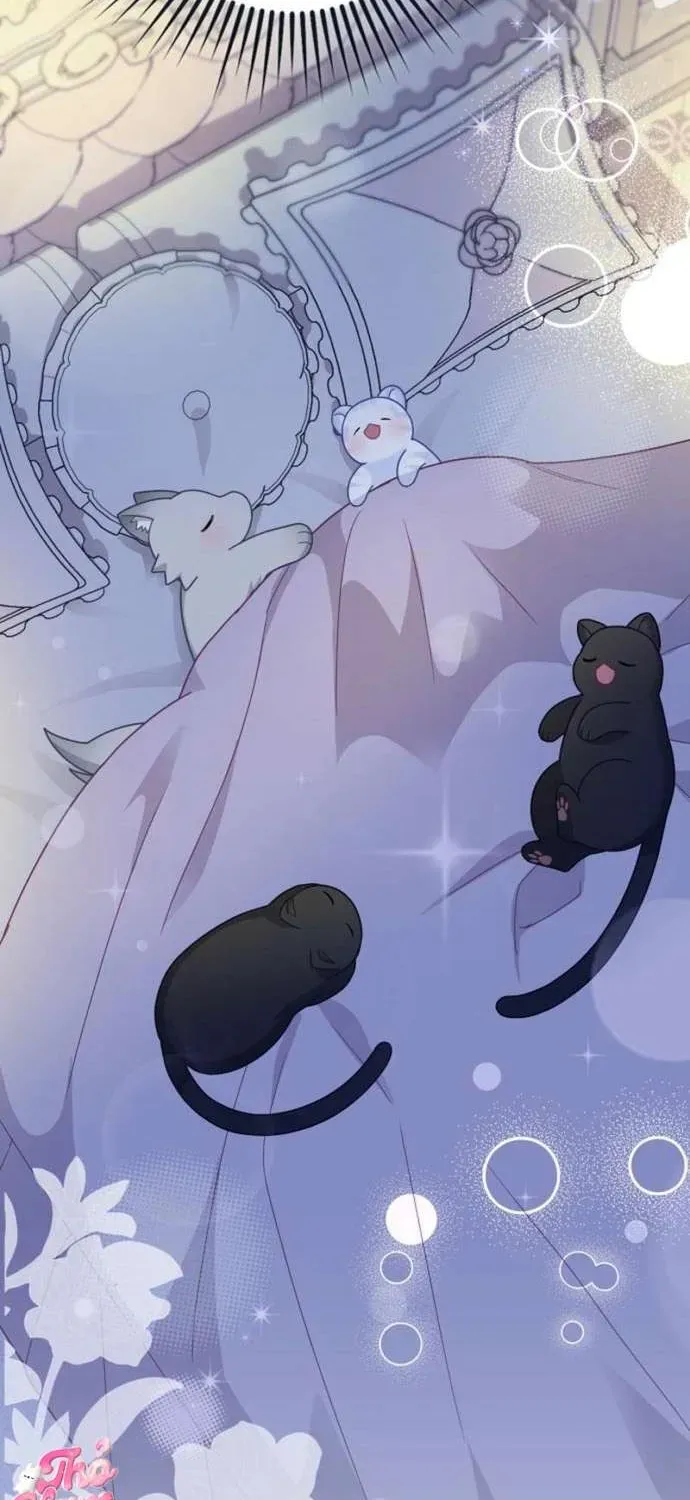  Ss2  Bé Con Báo Tuyết Của Gia Tộc Báo Đen Chap 38 - Page 42