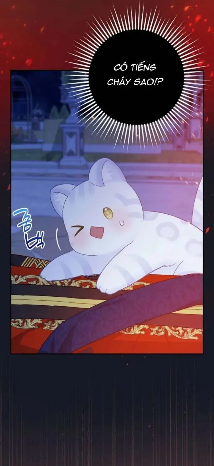  Ss2  Bé Con Báo Tuyết Của Gia Tộc Báo Đen Chap 41 - Next Chap 42