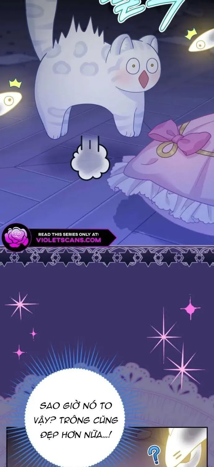  Ss2  Bé Con Báo Tuyết Của Gia Tộc Báo Đen Chap 41 - Next Chap 42