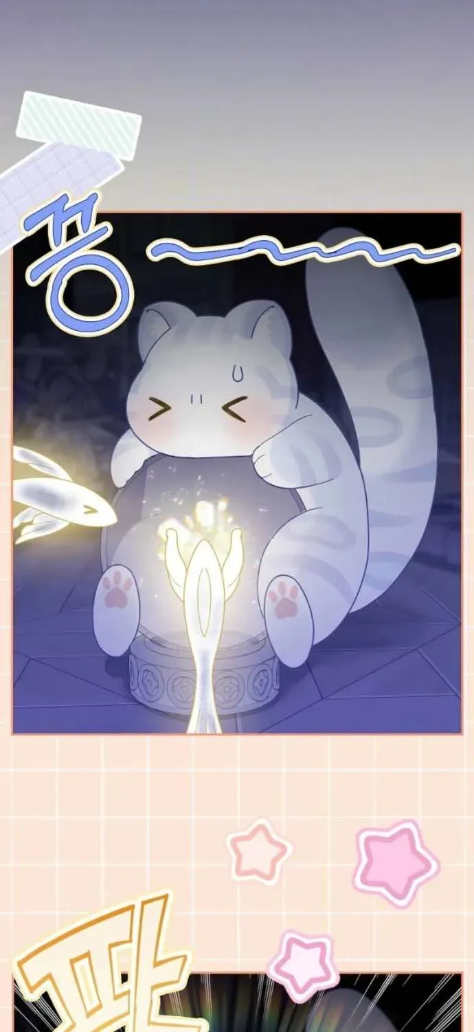  Ss2  Bé Con Báo Tuyết Của Gia Tộc Báo Đen Chap 41 - Next Chap 42