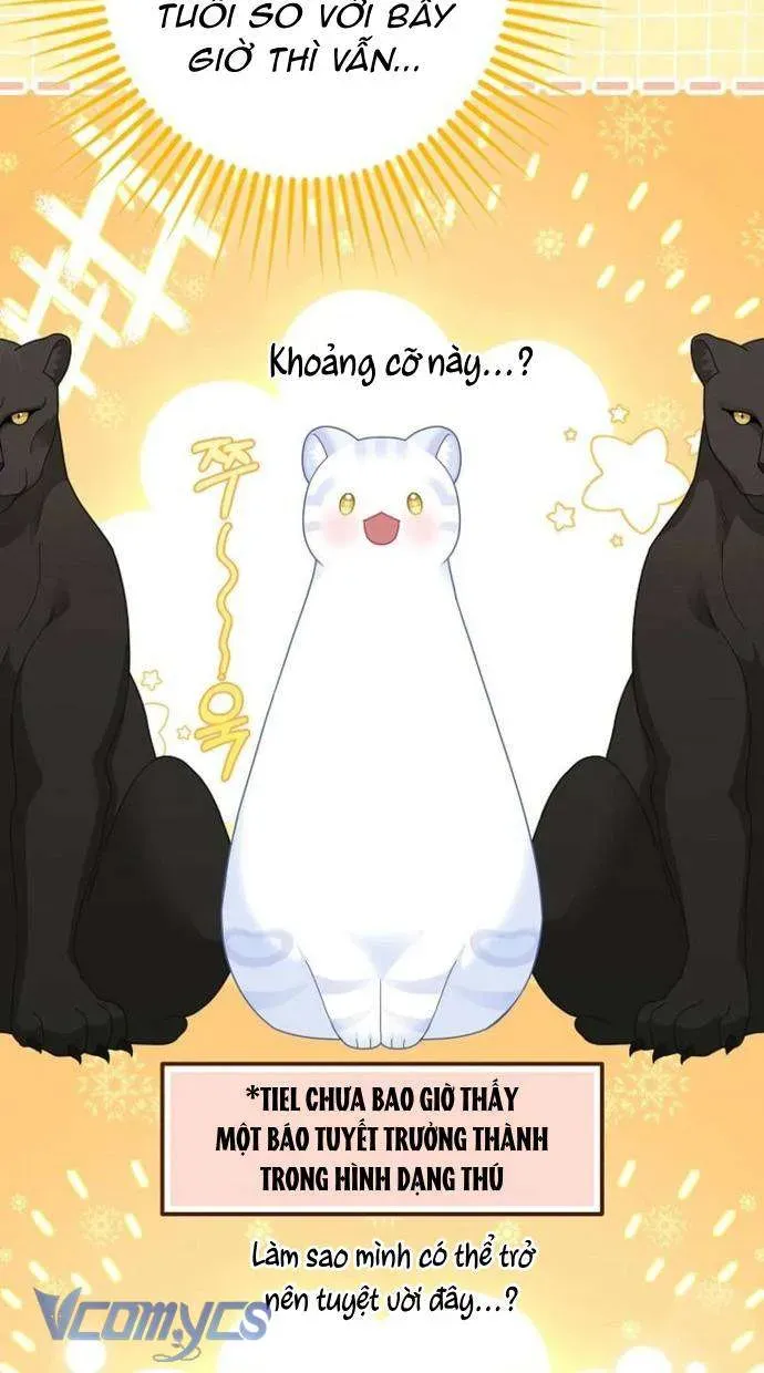  Ss2  Bé Con Báo Tuyết Của Gia Tộc Báo Đen - Chương 44 - Trang 20