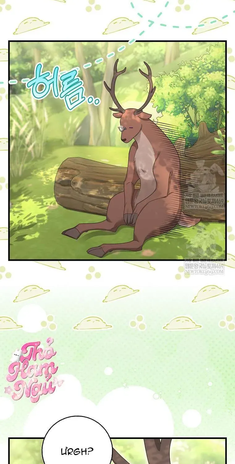  Ss2  Bé Con Báo Tuyết Của Gia Tộc Báo Đen Chap 49.1 - Page 2