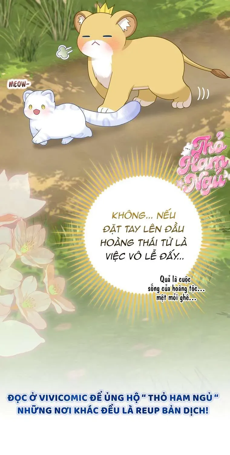  Ss2  Bé Con Báo Tuyết Của Gia Tộc Báo Đen Chap 49.1 - Page 17