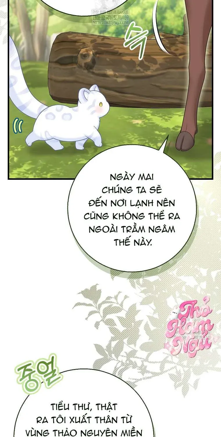 Ss2  Bé Con Báo Tuyết Của Gia Tộc Báo Đen Chap 49.1 - Page 4