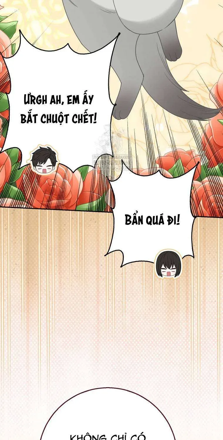  Ss2  Bé Con Báo Tuyết Của Gia Tộc Báo Đen Chap 50 - Next Chap 51