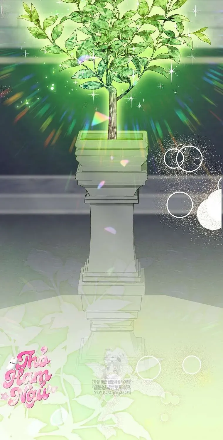  Ss2  Bé Con Báo Tuyết Của Gia Tộc Báo Đen Chap 51.1 - Next Chap 52.1