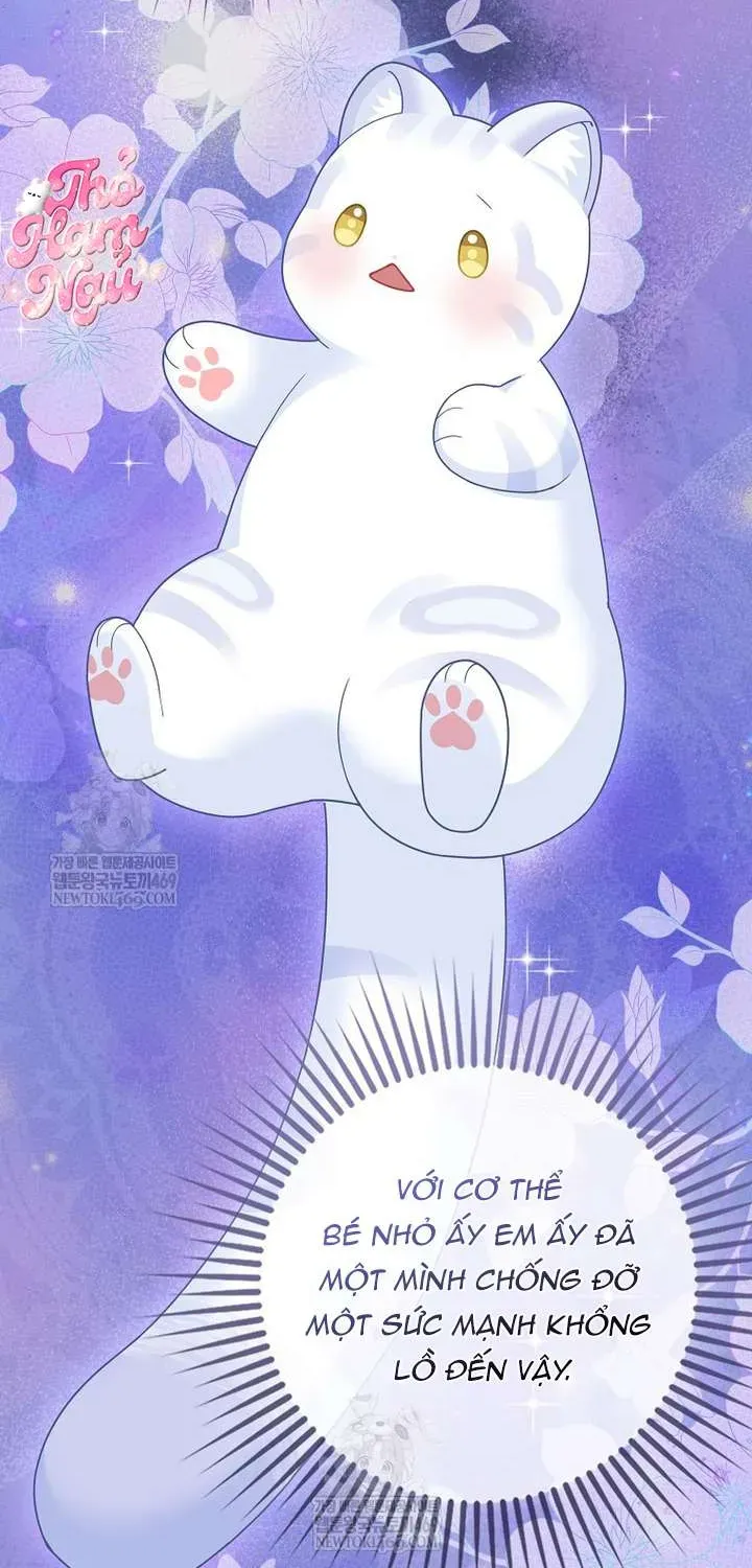  Ss2  Bé Con Báo Tuyết Của Gia Tộc Báo Đen - Chương 58 - Trang 85