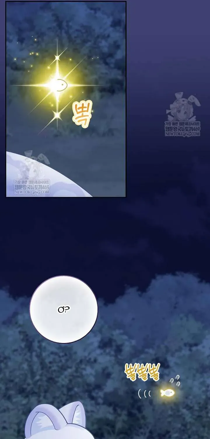  Ss2  Bé Con Báo Tuyết Của Gia Tộc Báo Đen Chap 60 - Next Chap 61