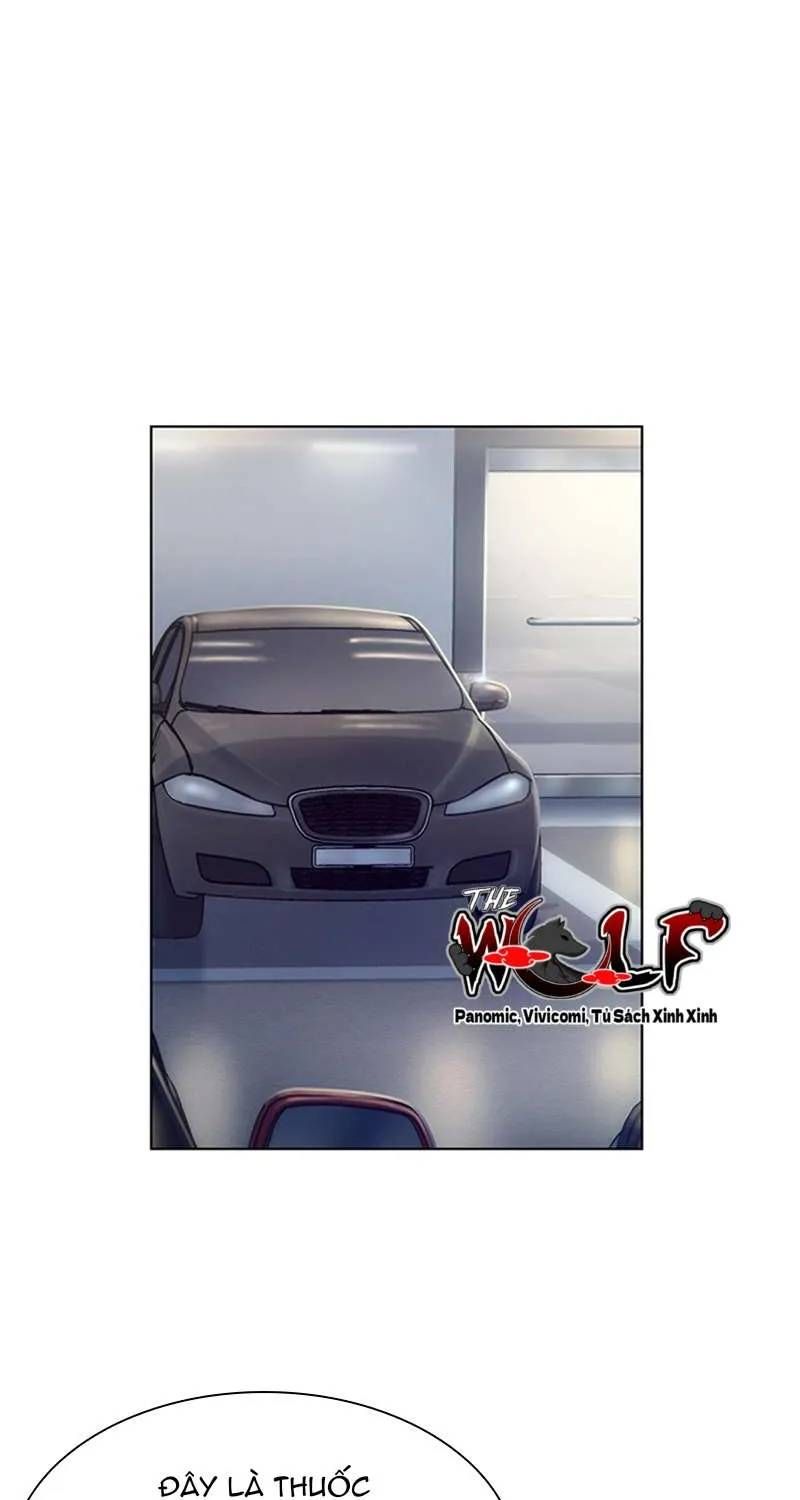 chuyen-chi-dong-nghiep-cua-toi-46