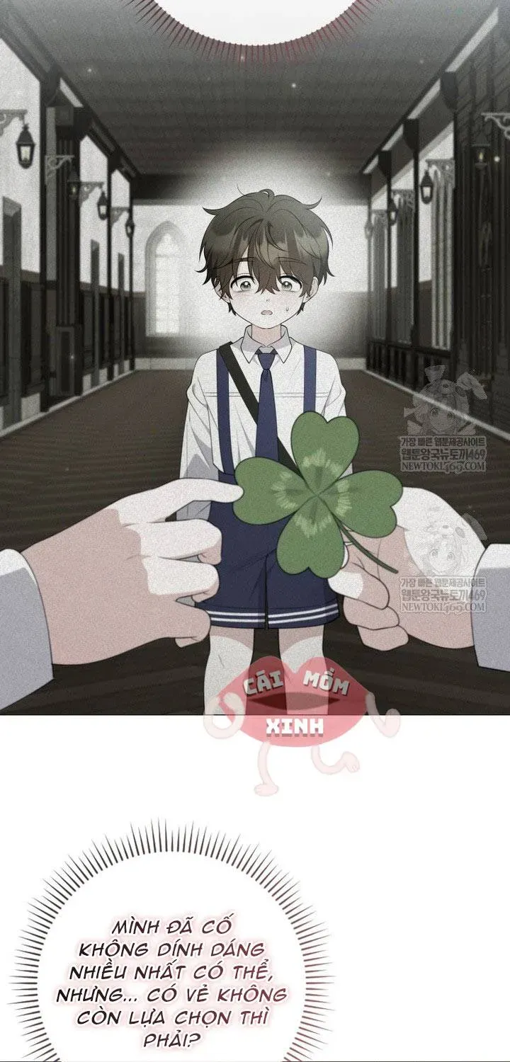 Cái Giá Của Tái Sinh