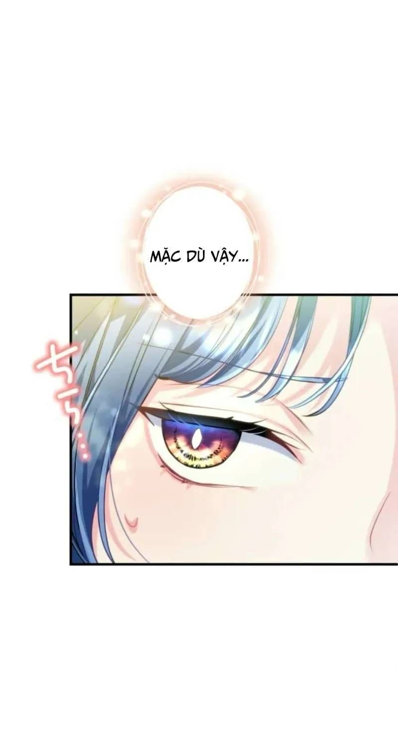 Hợp Đồng Ba Năm Với Tử Thần