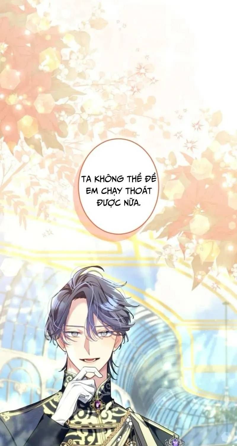 Hợp Đồng Ba Năm Với Tử Thần