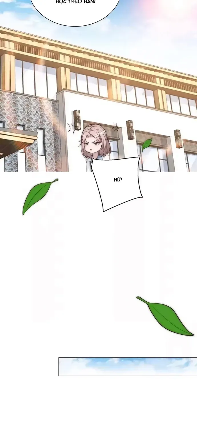 vat-gia-sut-giam-trieu-phu-quay-ve-12