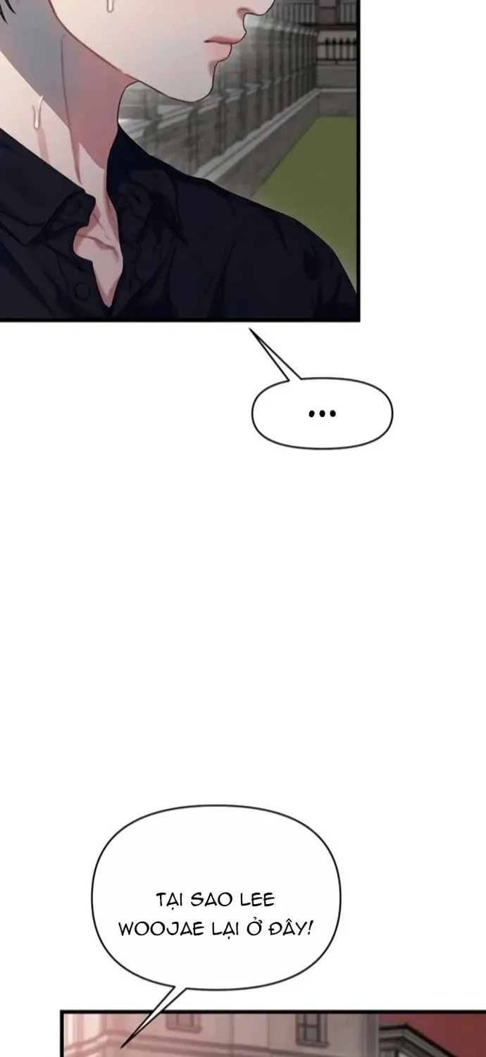 Cạm Bẫy Thanh Lịch