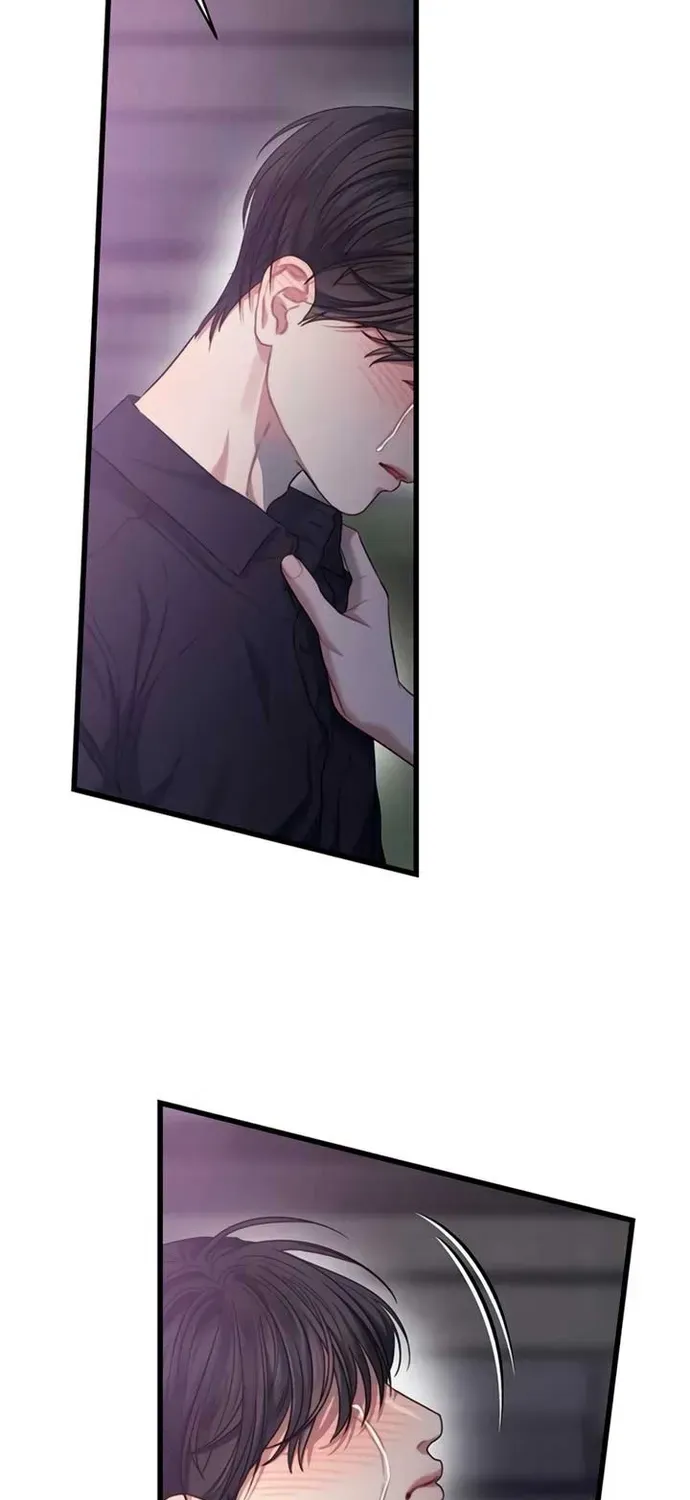 Cạm Bẫy Thanh Lịch