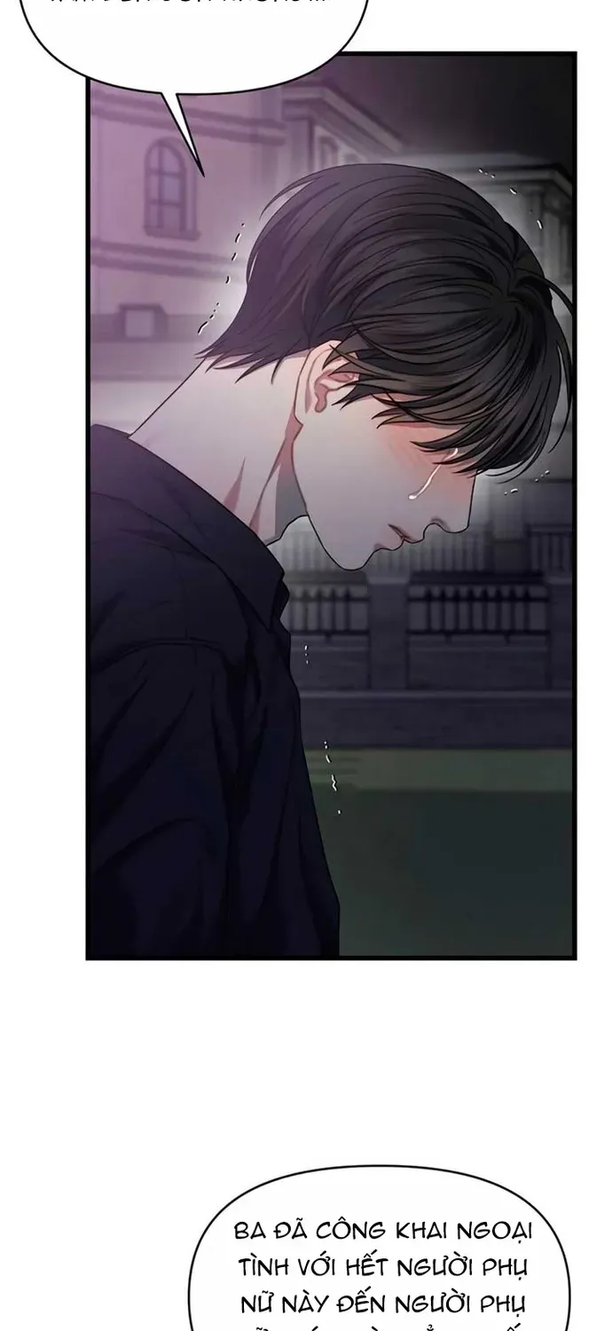 Cạm Bẫy Thanh Lịch