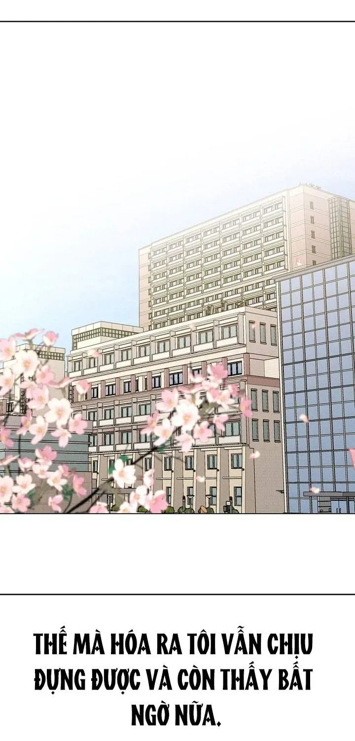 Soái Ca Kiểu Mẫu Chap 19 - Next Chap 20