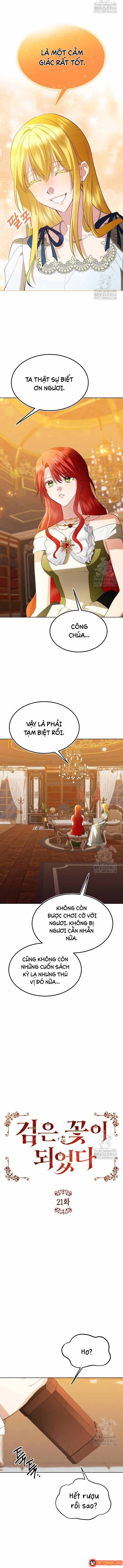 ta-da-hoa-thanh-hac-hoa-5