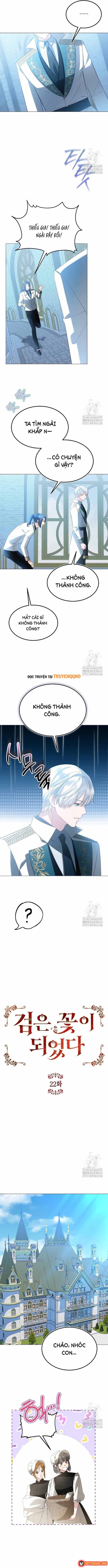 ta-da-hoa-thanh-hac-hoa-4