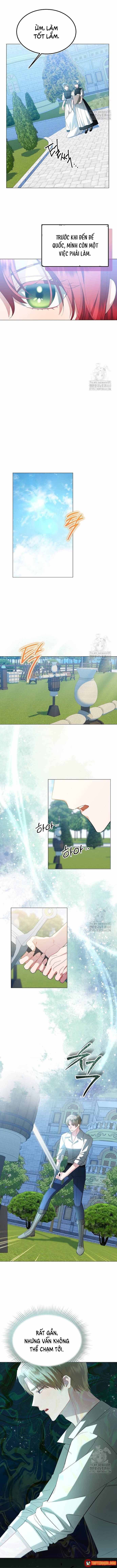 ta-da-hoa-thanh-hac-hoa-5