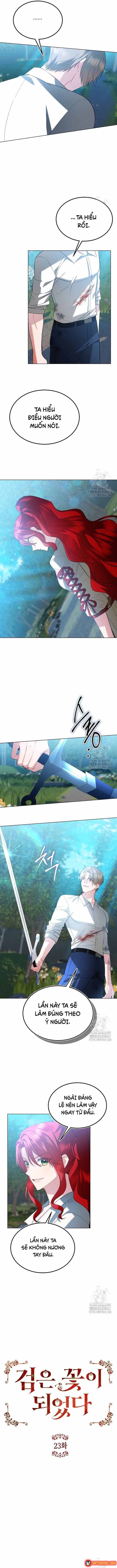 ta-da-hoa-thanh-hac-hoa-6