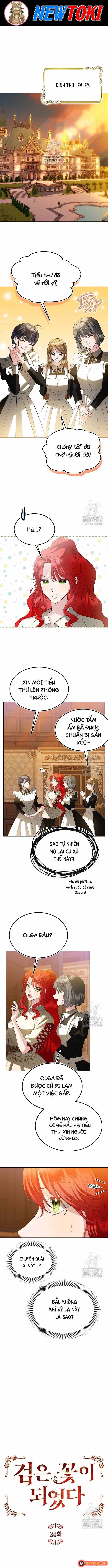 ta-da-hoa-thanh-hac-hoa-1