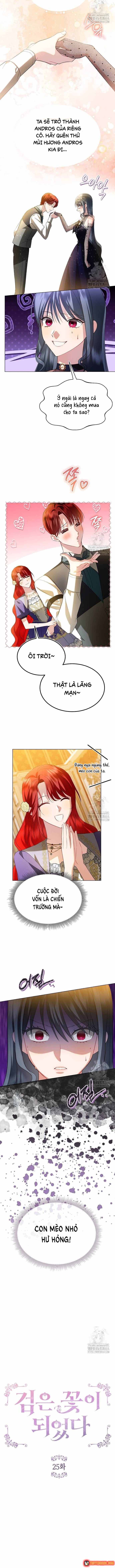 ta-da-hoa-thanh-hac-hoa-5