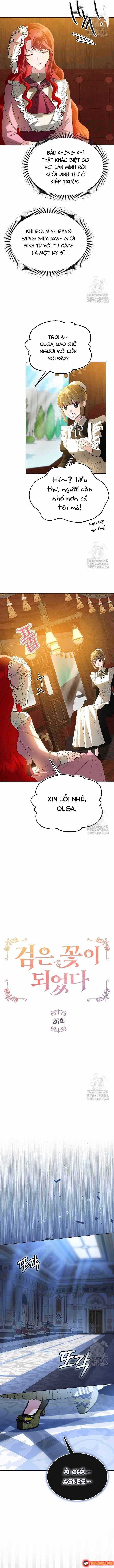 ta-da-hoa-thanh-hac-hoa-3