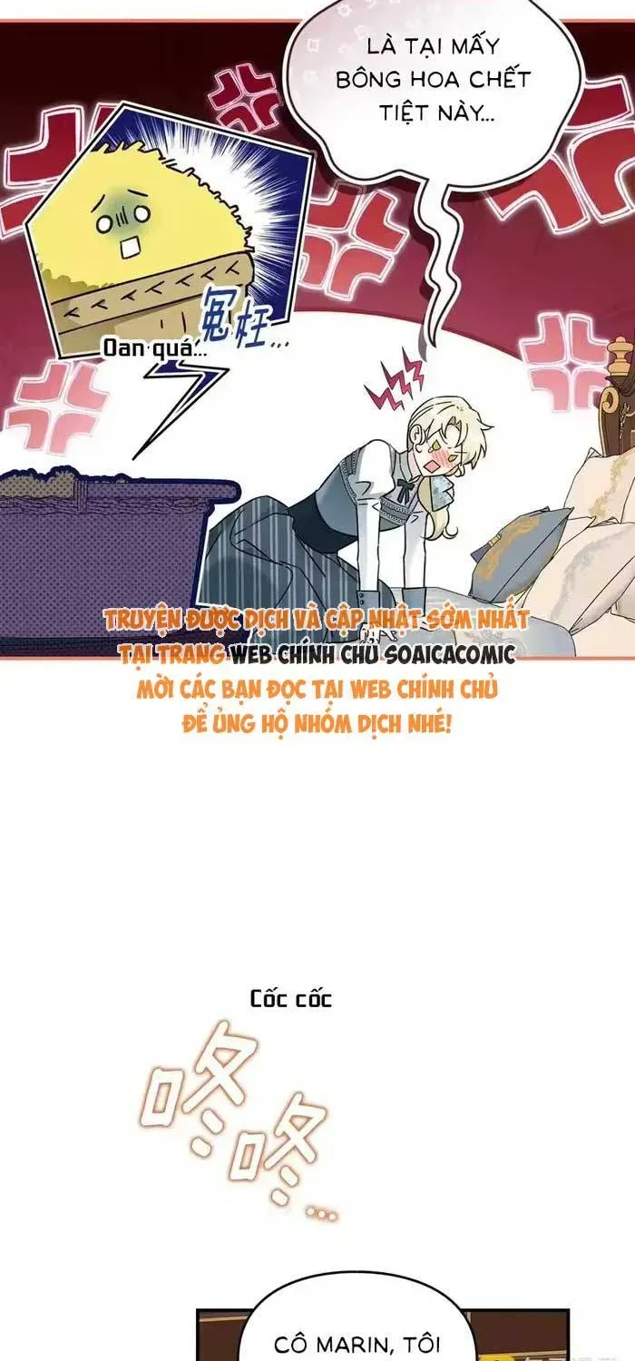 Tôi Trở Thành Hôn Thê Của Đại Công Tước Mù Chap 15 - Next Chap 16