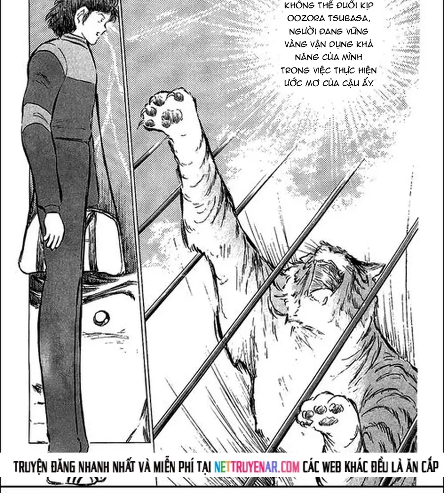 tsubasa-giac-mo-san-co-11