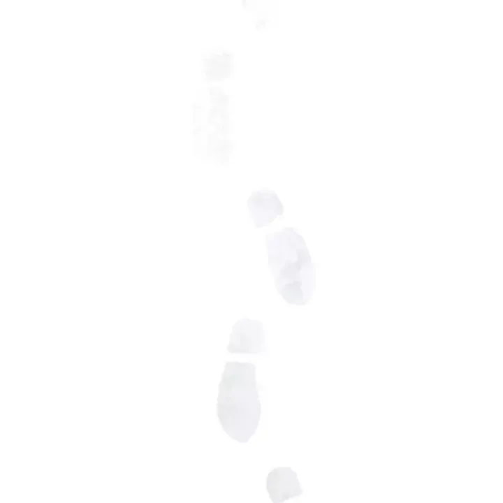 Sống Sót Trong Trò Chơi Với Tư Cách Là Một Cuồng Nhân Chap 142 - Next Chap 141