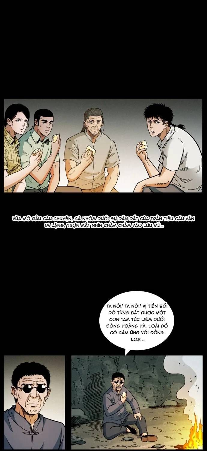 U Minh Ngụy tượng