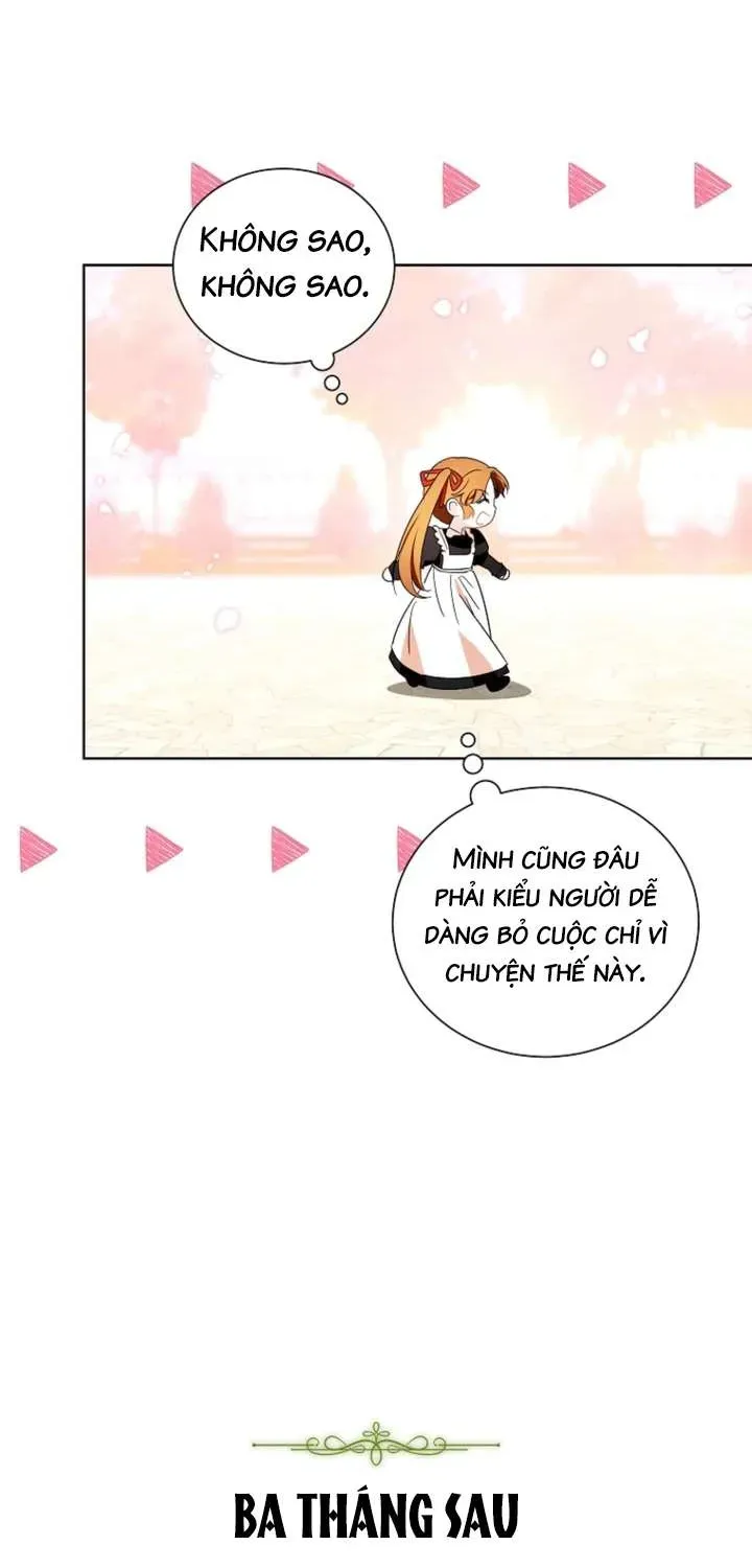 doan-truong-ky-si-cua-nam-phu-11