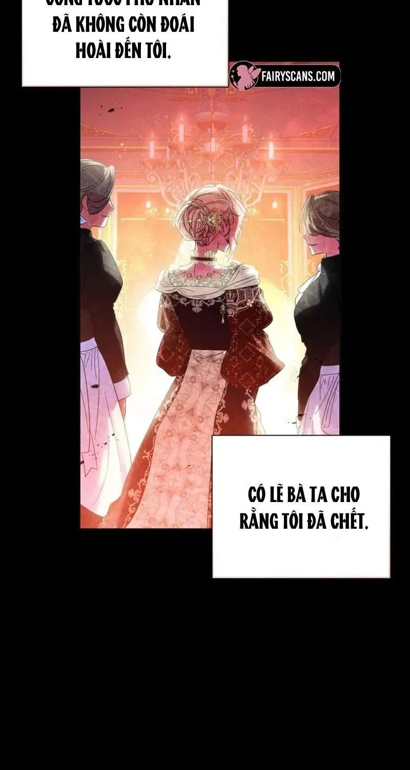 doan-truong-ky-si-cua-nam-phu-36