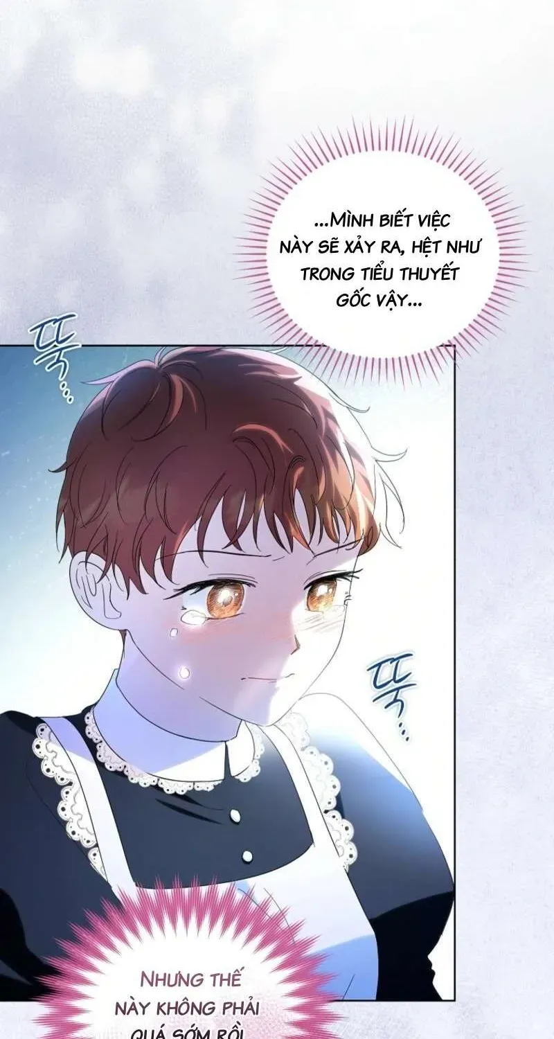 doan-truong-ky-si-cua-nam-phu-68